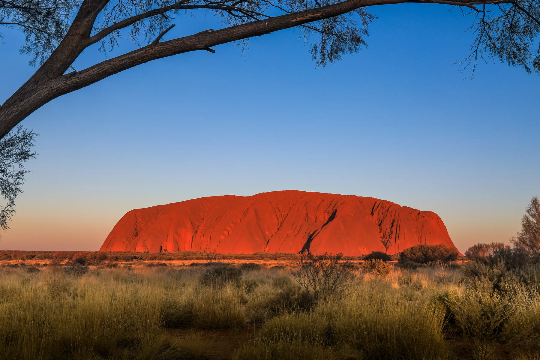 14 Days in the Red Centre — Northern Territory