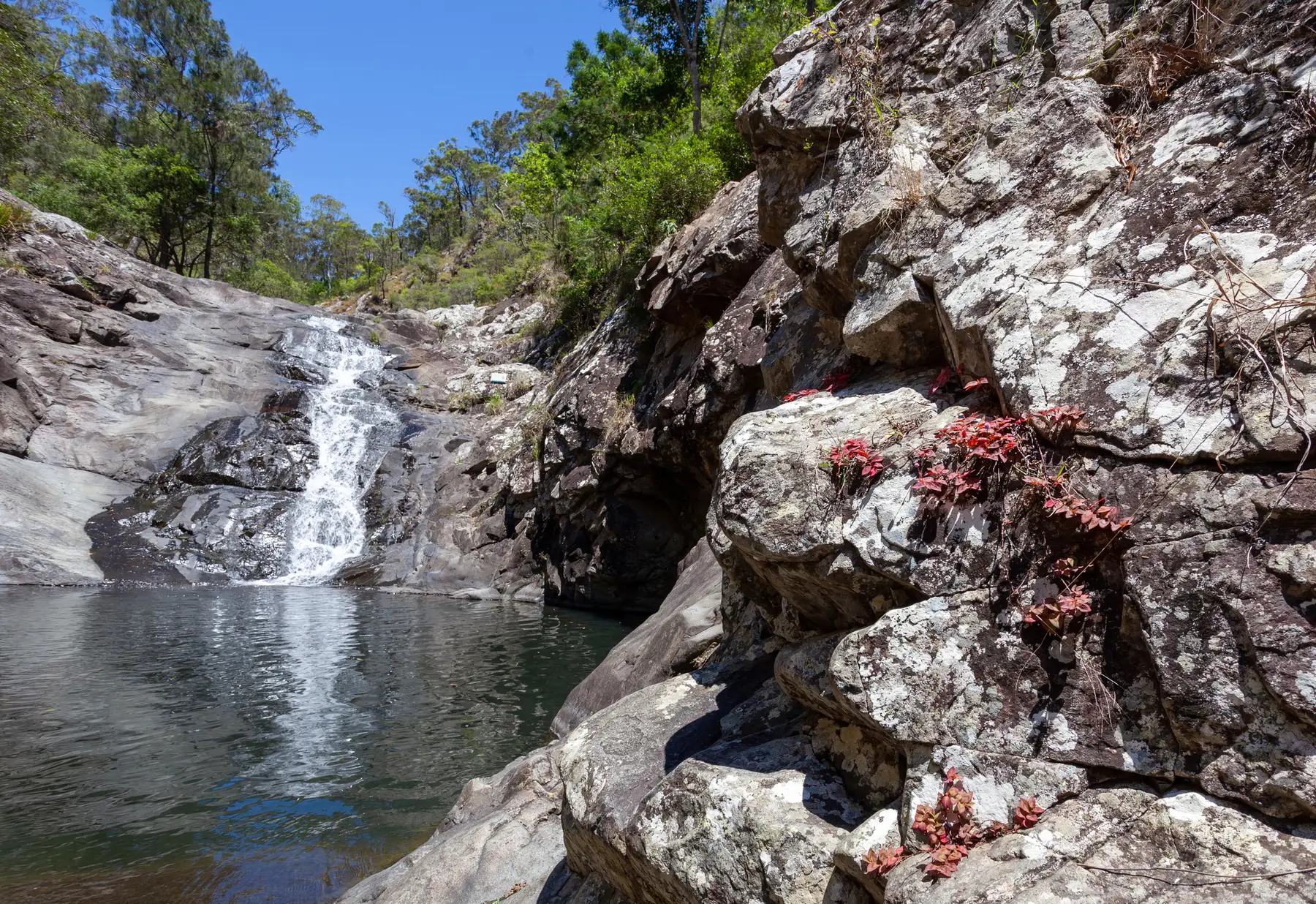 7 Days in South East Queensland — Queensland