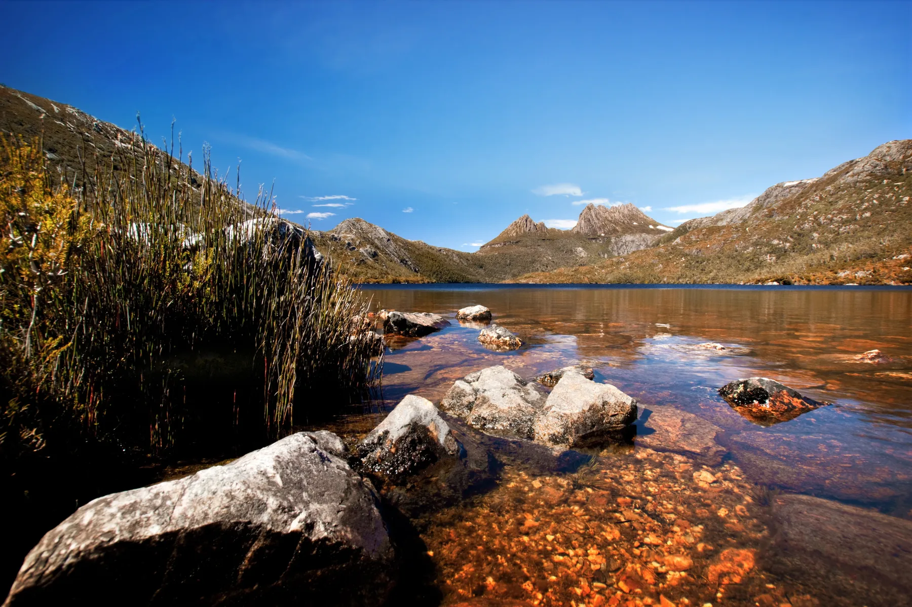 7 Days in Tasmania — Tasmania