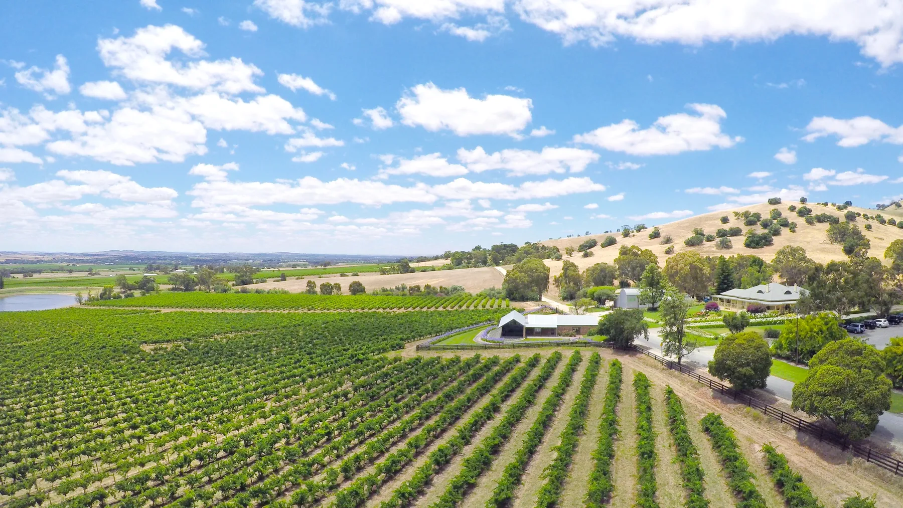 Adelaide Hills & Barossa Road Trip — South Australia