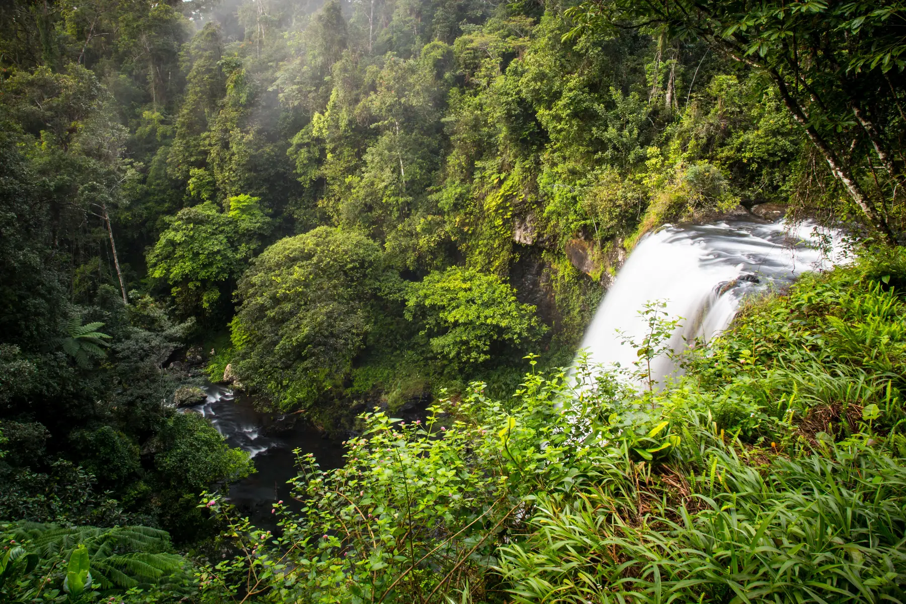 Atherton Tablelands Road Trip — Queensland